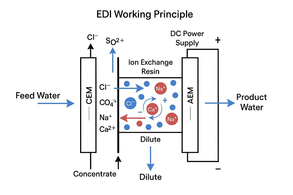 水处理厂中的 EDI（Electrodeionization，电去离子）